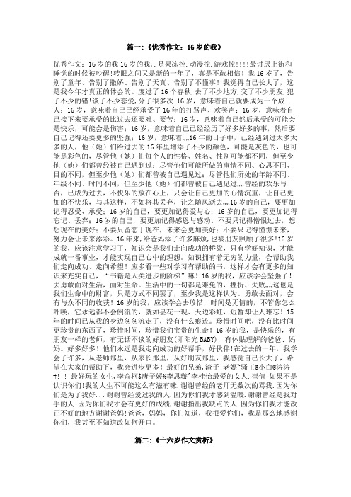 十六岁的我们作文600