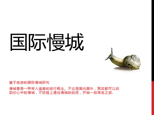 0 国际慢城