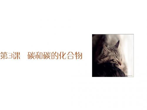广东省河源市中英文实验学校中考化学专题复习 第一部
