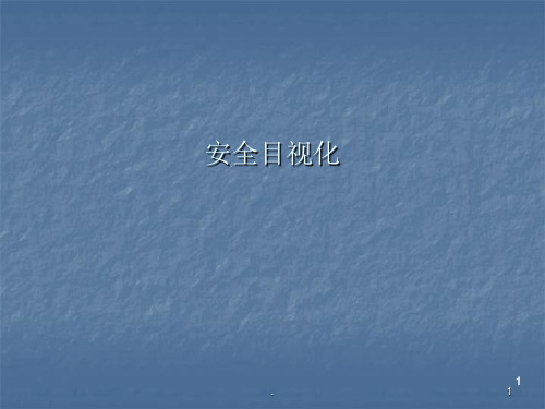 安全目视化