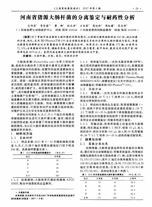 河南省猪源大肠杆菌的分离鉴定与耐药性分析