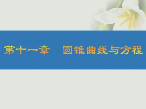 (江苏专版)18高考数学大一轮复习第十一章圆锥曲线与方