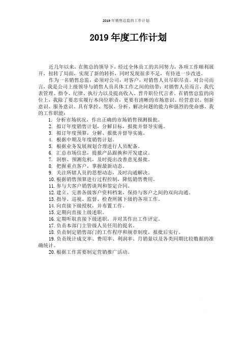 2019年销售总监的工作计划