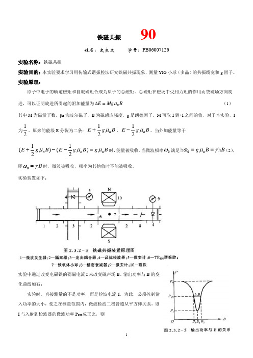 PB06007126_铁磁共振_200869204138