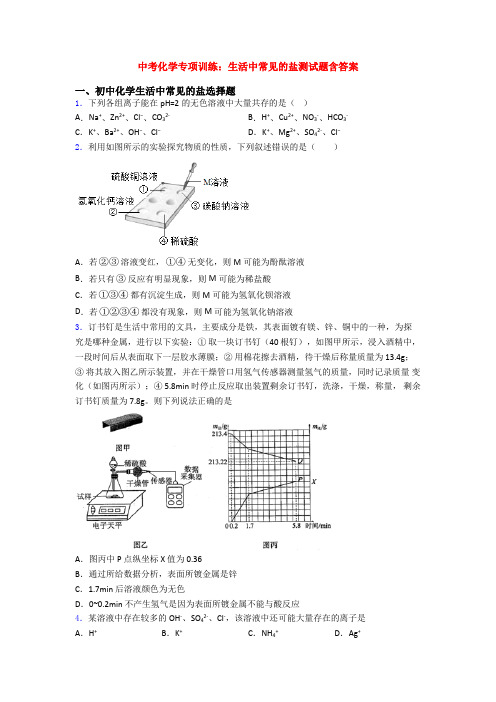 中考化学专项训练：生活中常见的盐测试题含答案