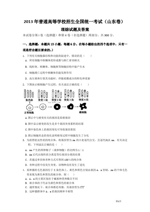 2013高考理综全国统一考试(山东卷)理综试题及答案