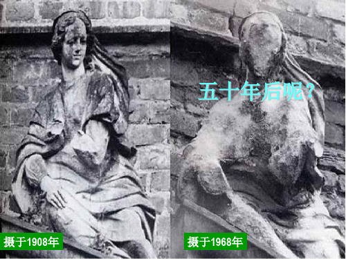 探究二氧化硫的性质
