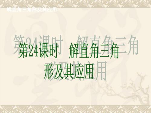 中考复习：解直角三角形及其应用
