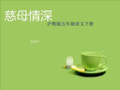 五年级下语文课件慈母情深_沪教版