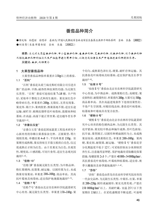 番茄品种简介