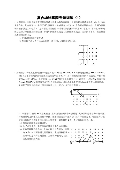 2012复合场计算题专题训练