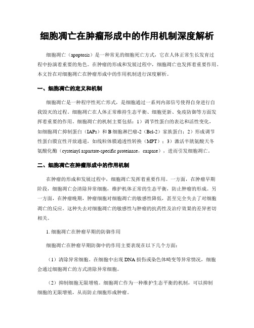 细胞凋亡在肿瘤形成中的作用机制深度解析