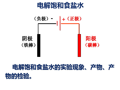 电解饱和食盐水阴极