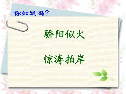 1.2学会查“无字词典”PPT课件1