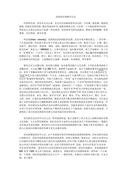 哈尼族梯田文化