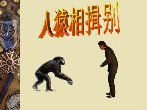 人猿相揖别PPT优秀课件4 人教版
