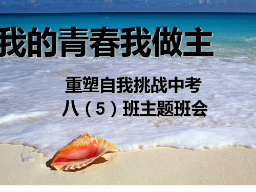 我的青春我做主PPT课件