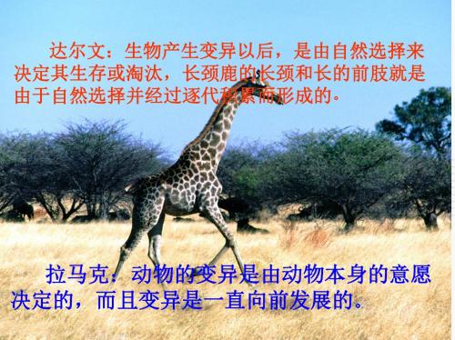 达尔文和他的进化论