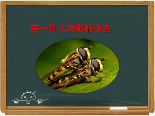 苏教版高中生物必修三《人类影响环境》复习课件-新版