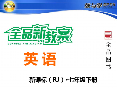 单元语法聚焦七  (七下英语unit  7 )