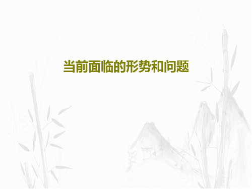 当前面临的形势和问题共26页文档