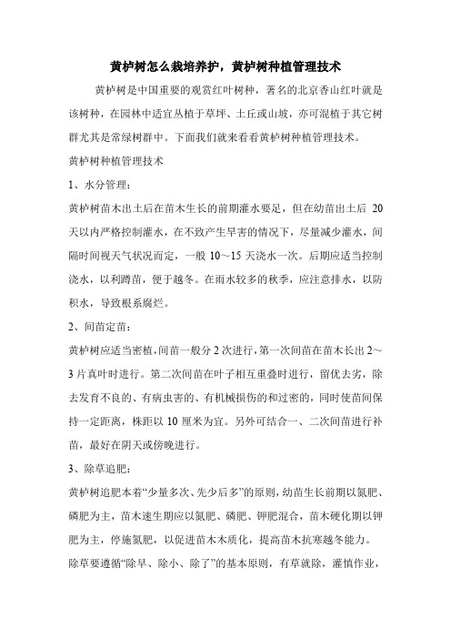 黄栌树怎么栽培养护,黄栌树种植管理技术.doc
