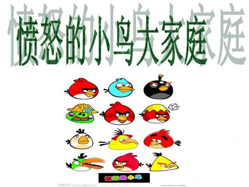 愤怒的小鸟幻灯片