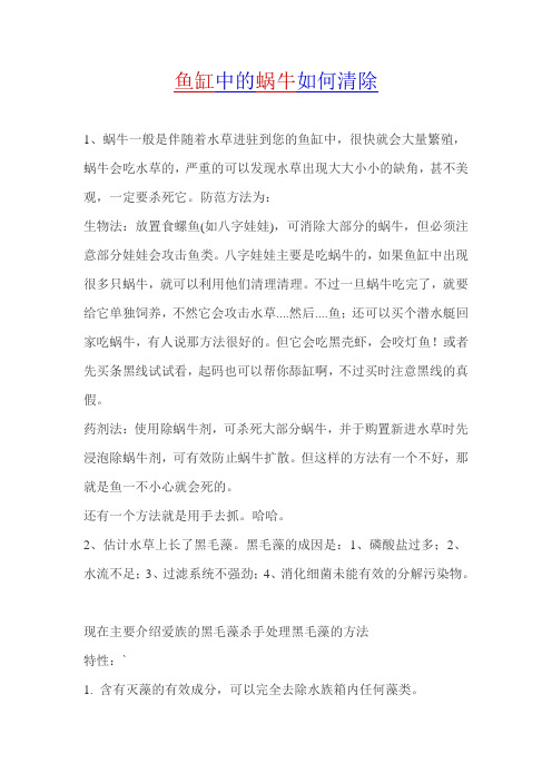 鱼缸中的蜗牛如何清除