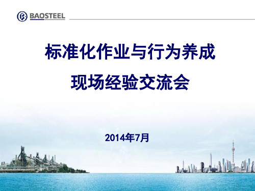 板坯连铸标准化20140731讲义