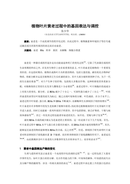 植物叶片衰老过程中的基因表达与调控