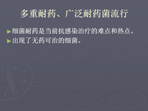 抗生素的临床应用--全球关注的多重耐药菌PPT课件