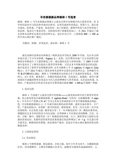 早实核桃新品种秭林1号选育