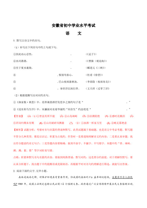 2023年安徽省初中学业水平考试语文试题解析版
