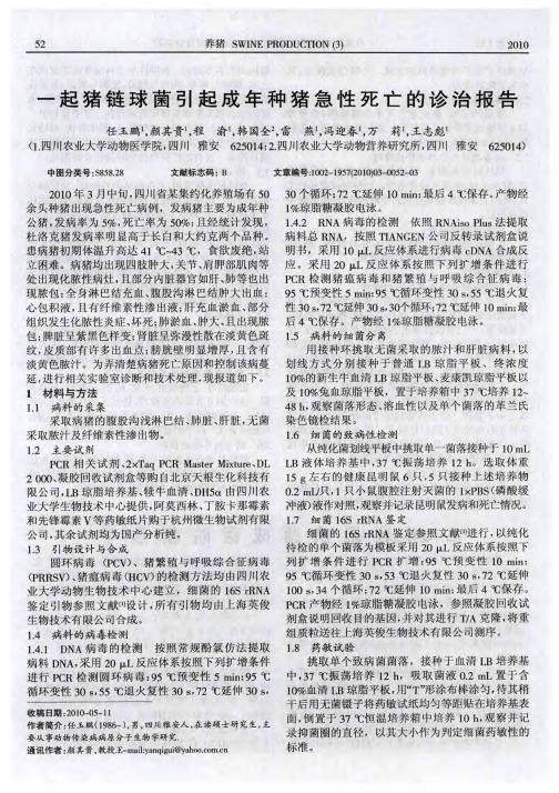 一起猪链球菌引起成年种猪急性死亡的诊治报告