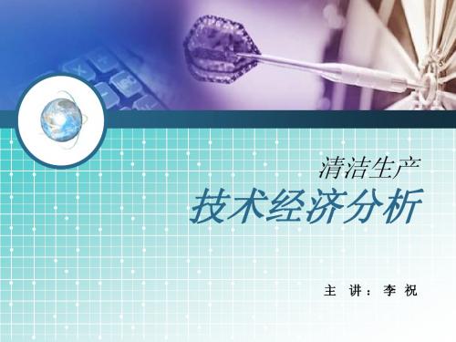 技术经济分析