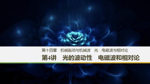 2019版(通用版)高中物理大一轮复习课件：第十四章机械振动与机械波+光+电磁波与相对论+第4讲