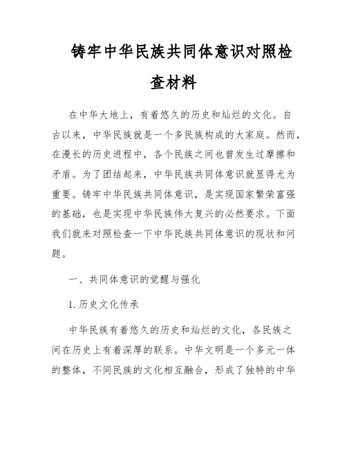 铸牢中华民族共同体意识对照检查材料