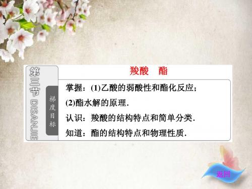第三章  第三节  第1课时  羧酸
