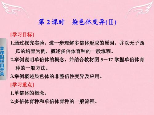 【课堂设计】2015-2016学年高中生物 5.3.2 染色体变异(Ⅱ) 课件 北师大版必修2