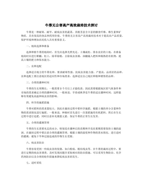 牛蒡无公害高产高效栽培技术探讨