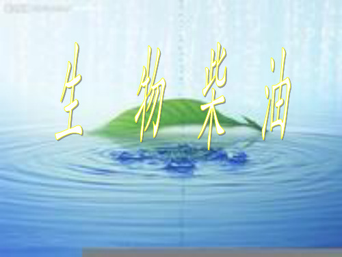 生物柴油