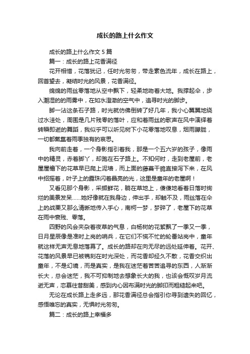 成长的路上什么作文