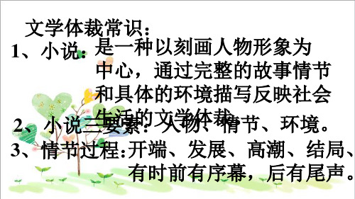 初中语文八年级上册《13鲁提辖拳打镇关西》 (5)