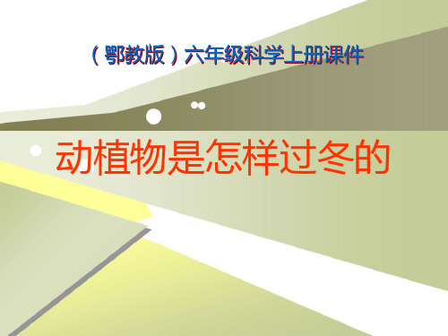 《动植物是怎样过冬的》四季中的变化 PPT实用课件3