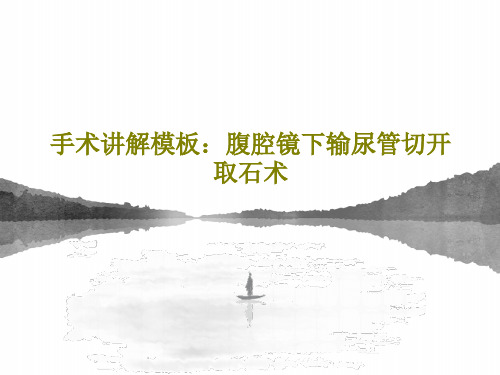 手术讲解模板：腹腔镜下输尿管切开取石术41页PPT