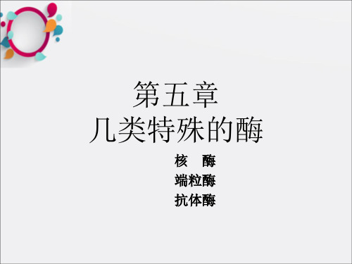 《端粒酶和抗体酶》PPT课件