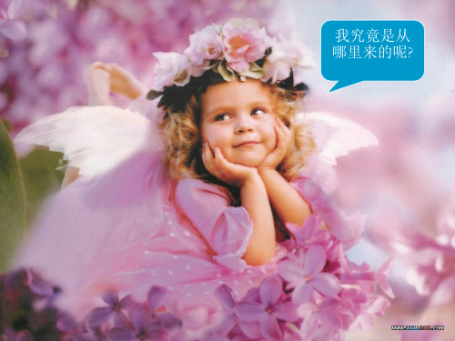 发育生物学(1)