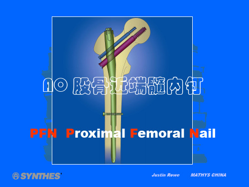 PFN 标准