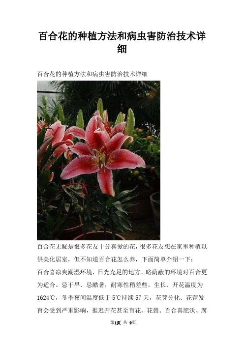 百合花的种植方法和病虫害防治技术详细