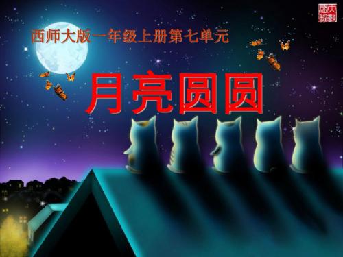 《月亮圆圆》PPT课件3